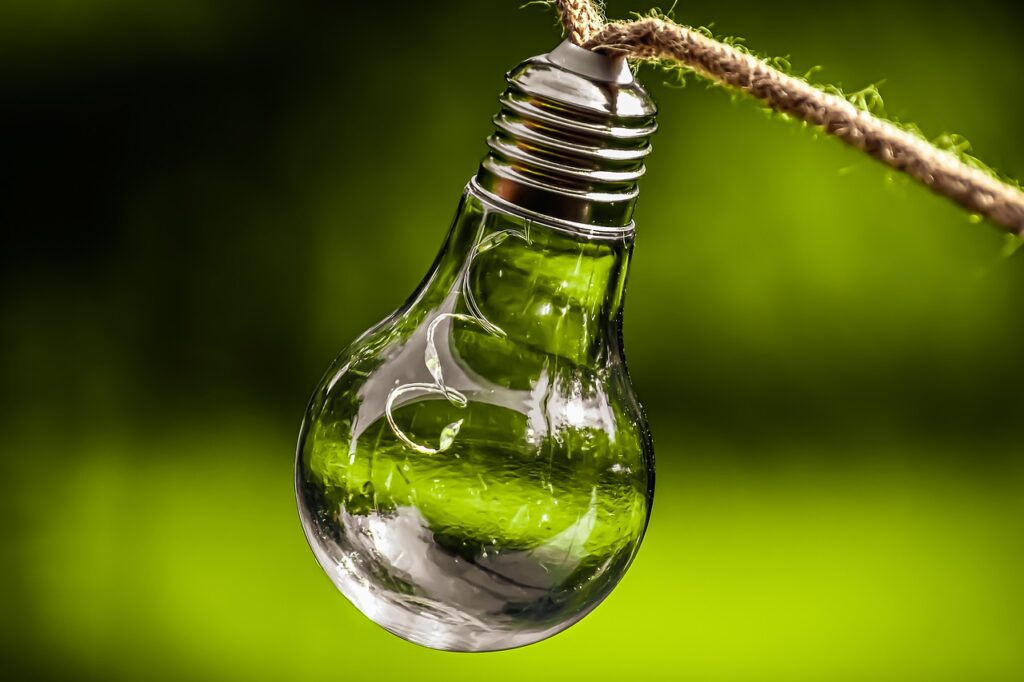 lightbulb, energy, nature, environment, ecology, light, environmental protection, throughts, natural reserve, think, close up, sustainability, electricity, innovation, experiment, multicoloured, lamps, sustainability, sustainability, sustainability, sustainability, sustainability